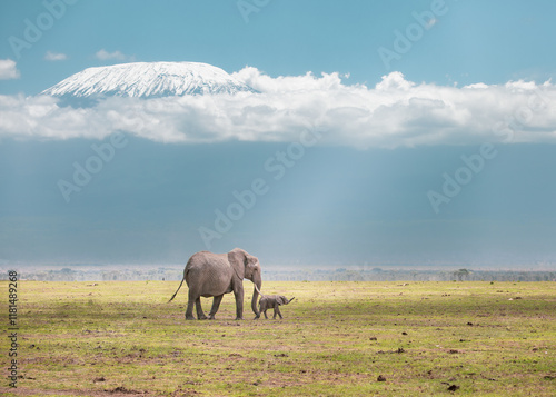 Elephant and Calf Walking Beneath Mount Kilimanjaro, Amboseli, Kenya