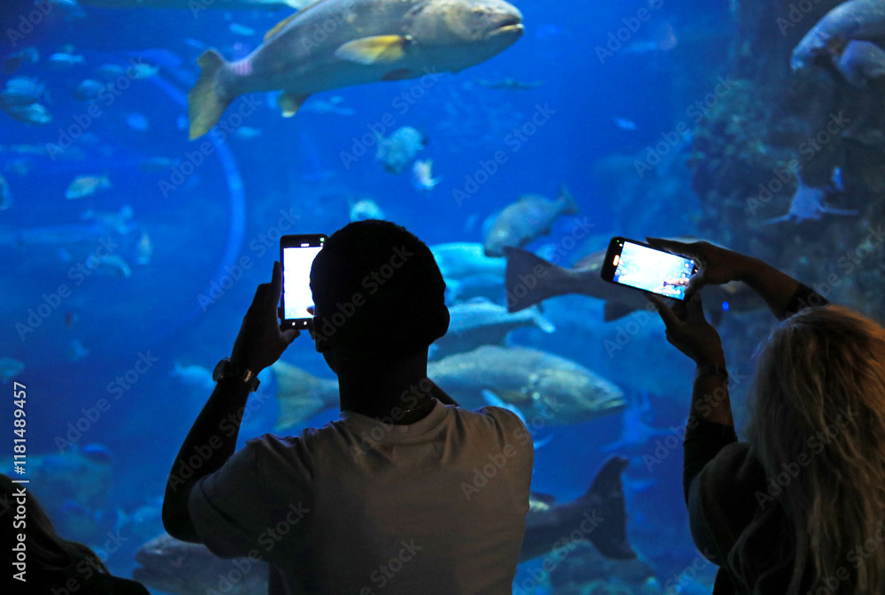 Fototapeta premium pareja mirando los peces haciendo fotografias con el movil en el aquarium de donostia san sebastian 4M0A4878-as25