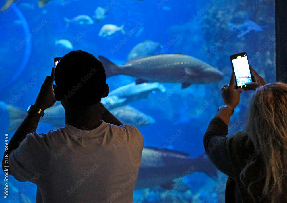 Fototapeta premium pareja mirando los peces haciendo fotografias con el movil en el aquarium de donostia san sebastian 4M0A4876-as25