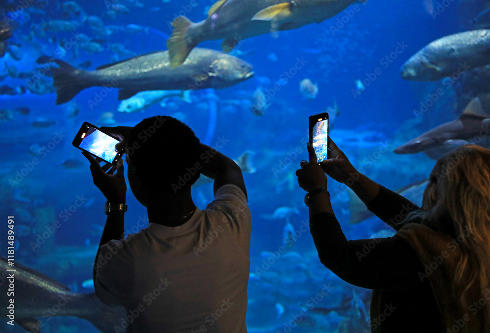 Fototapeta premium pareja mirando los peces haciendo fotografias con el movil en el aquarium de donostia san sebastian 4M0A4882-as25