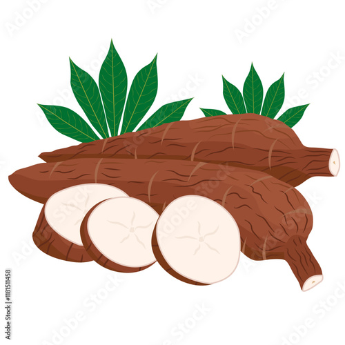 cassava root and leaves, raw cassava cut slice for tapioca flour industry, Manihot esculenta, manioc.