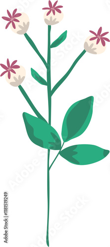 wild floral illustration