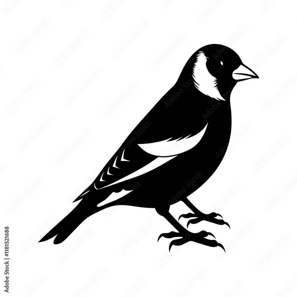 Fototapeta premium Goldfinch Silhouette vector illustration