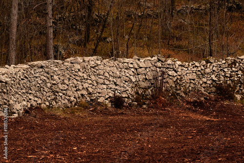 An old dry stone wall in the woods of the Karst