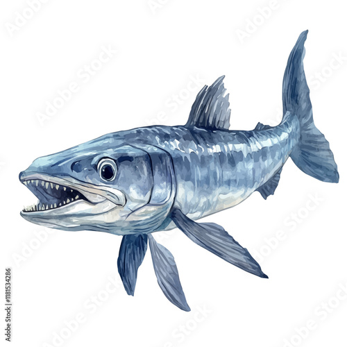 A watercolor clipart of a barracuda lurking in deep water, isolated on a white background. Barracuda vector.
