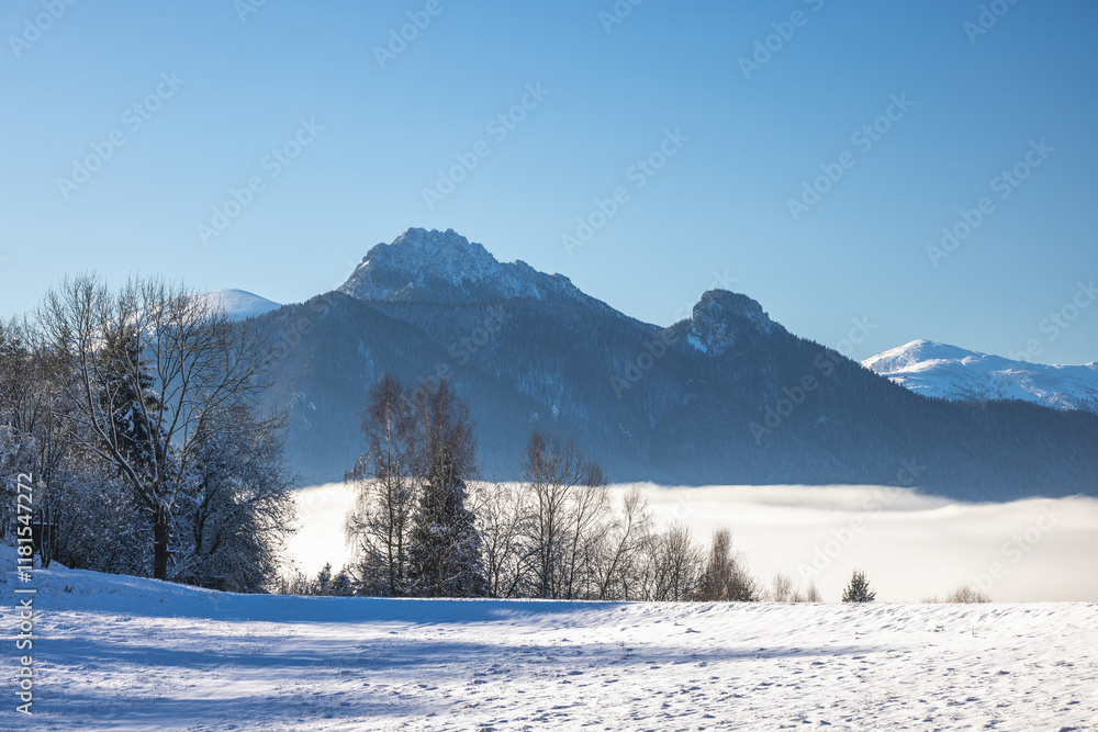 Fototapeta premium Snowy winter landscape in a misty sunny morning. The Mala Fatra national park in northwest of Slovakia, Europe.