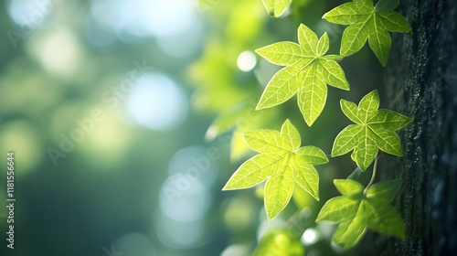 Green Leaves Glow in Sunlig...