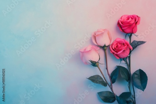 Bouquet of pink and red roses creates a dreamy, romantic atmosphere with a gradient effect on a blue and pink background