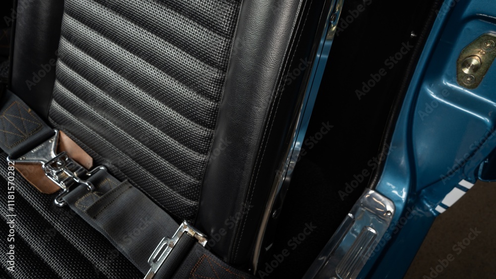 Obraz premium Drivers seat back