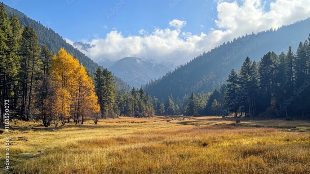 Autumnal Meadow Valley Scenery Autumnal Meadow Valley Scenery