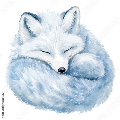 A watercolor vector of an arctic fox curled up for warmth, isolated on a white background. Arctic fox vector.
