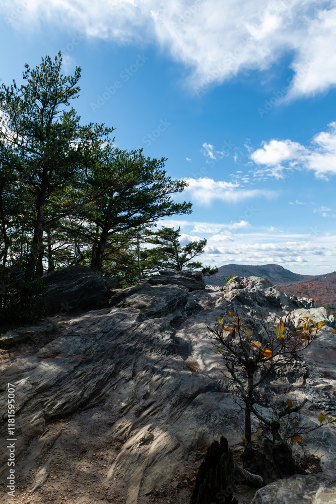 Obraz premium Day Hiking in North Carolina