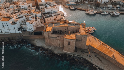 Obraz na plátně Majestic aerial view of a historic castle on the rocky coast, Castello Carlo V,