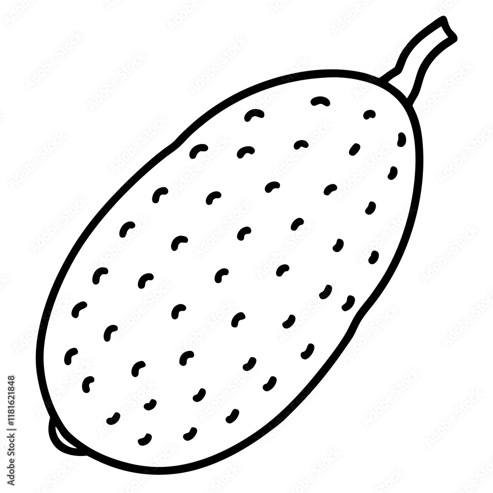 Finger Lime Vector Art Finger Lime Vector Art
