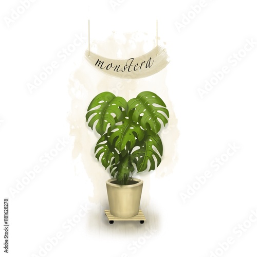 Tropical monstera plant in a pot, isolated on a white background illustration
