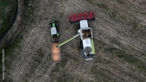 Italy, Chivasso. 07-04-2024. Aerial view, thresher unloads in agricultural trailer. Video 4K photo