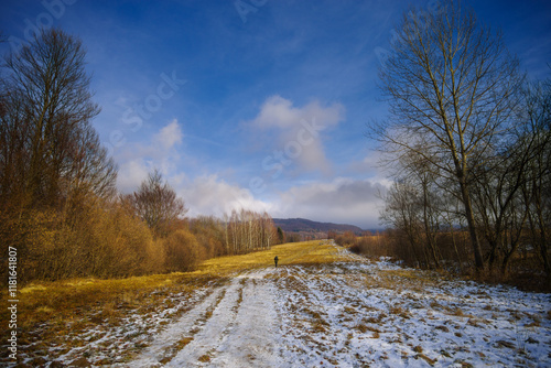 Fototapeta Naklejka Na Ścianę i Meble -  Bieszczadzki krajobraz, Polska
