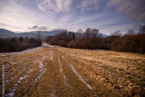 Fototapeta Naklejka Na Ścianę i Meble -  Bieszczadzki krajobraz, Polska