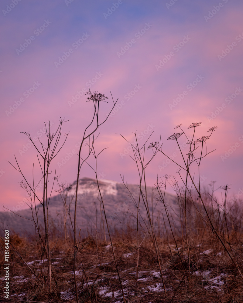 Beautiful mountain landscape with colorful sky. Polish Bieszczdy Beautiful mountain landscape with colorful sky. Polish Bieszczdy