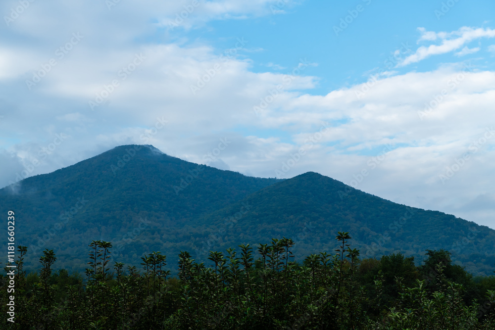 Fototapeta premium Landscape views from the winery