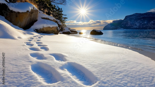 Winter Wonderland Snow Foot...