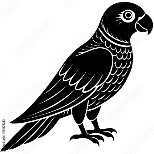 black and white parrot