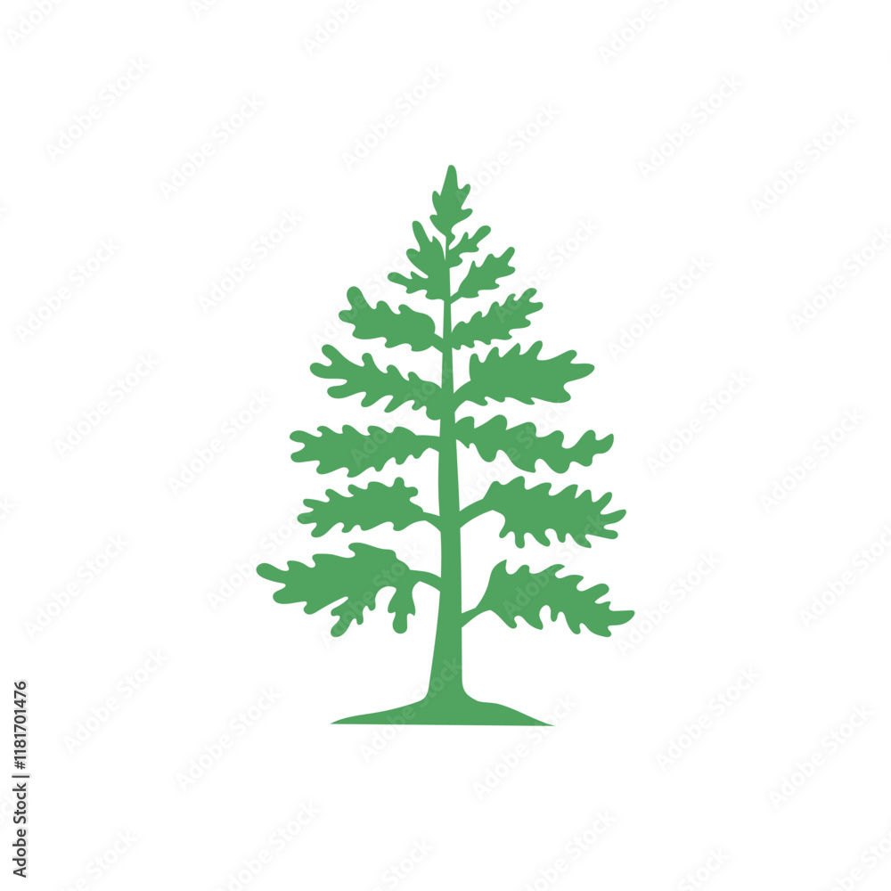 Cedar pine tree icon nature organic environment icon symbol illustration.