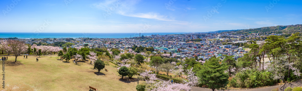 Panoramic view of Hitachi City, Ibaraki Prefecture, Japan Panoramic view of Hitachi City, Ibaraki Prefecture, Japan