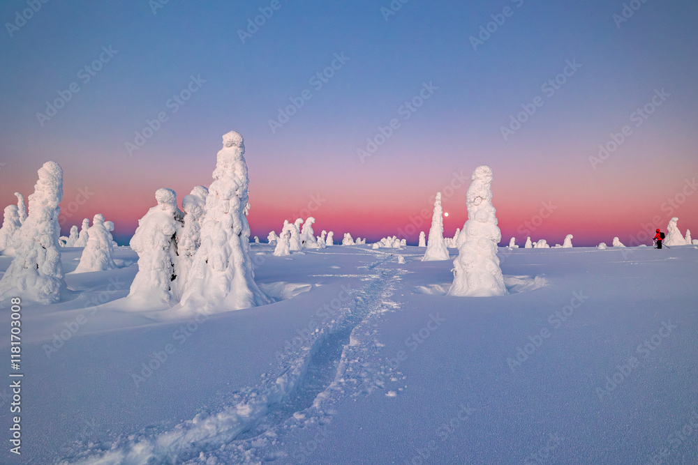 winter landscape with snow