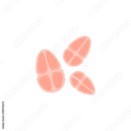 Tetracoccus Bacteria Illustration 