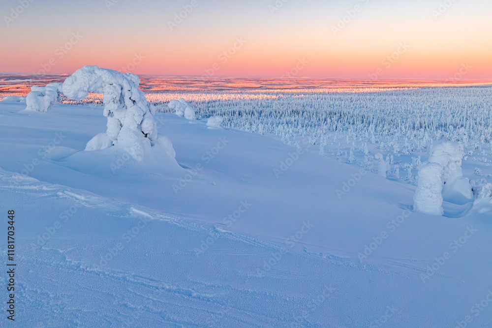 winter landscape with snow