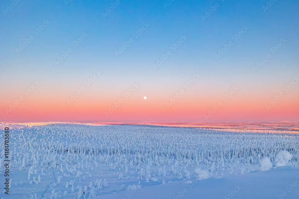 winter landscape at sunset