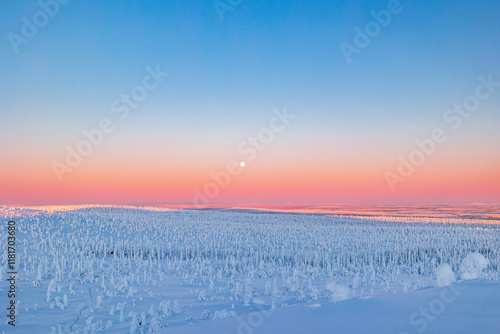 Obraz na płótnie winter landscape at sunset w salonie