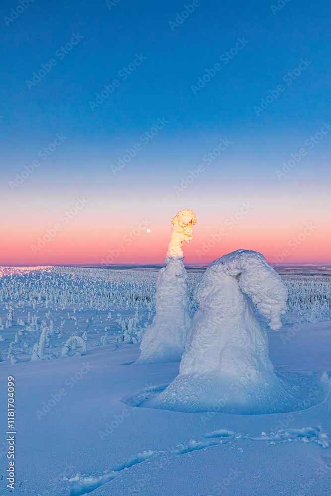 landscape with snow