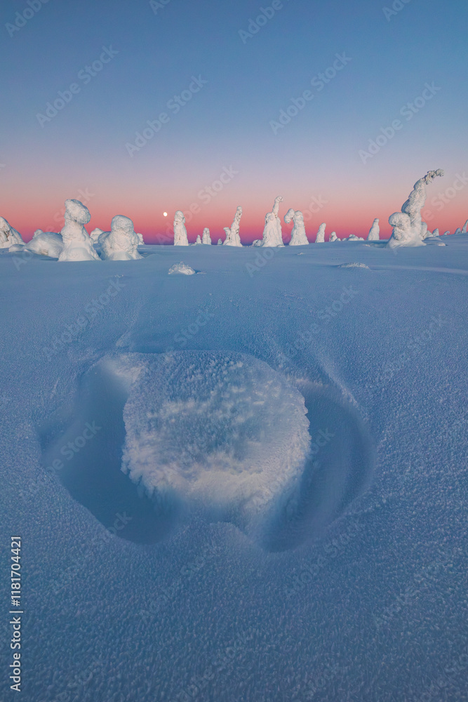 landscape with snow