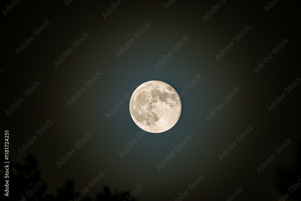 Full Moon Full Moon