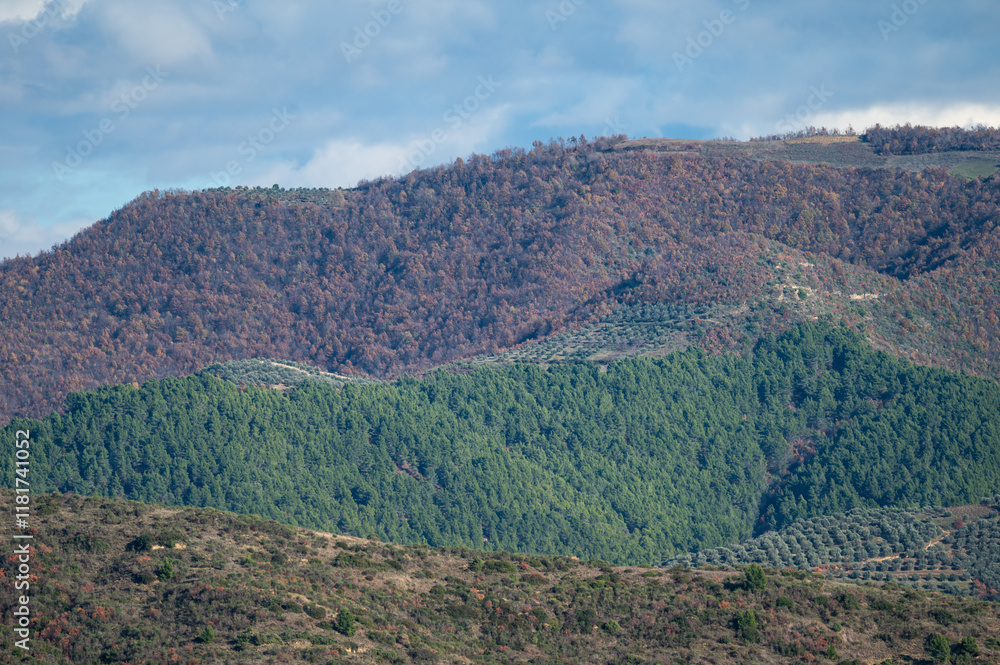 Fototapeta premium Green hills and mountain landscape around Berat, Albania
