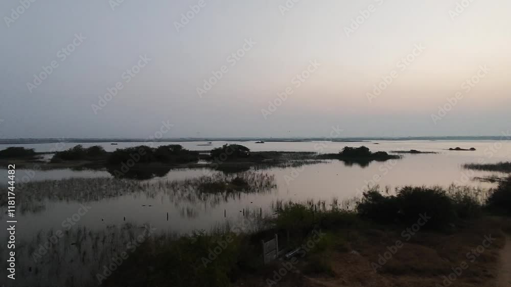Khijadia Bird Sanctuary is a popular destination for bird watchers and nature enthusiasts located near Jamnagar, Khijadia Bird Sanctuary is a popular destination for bird watchers and nature enthusiasts located near Jamnagar,