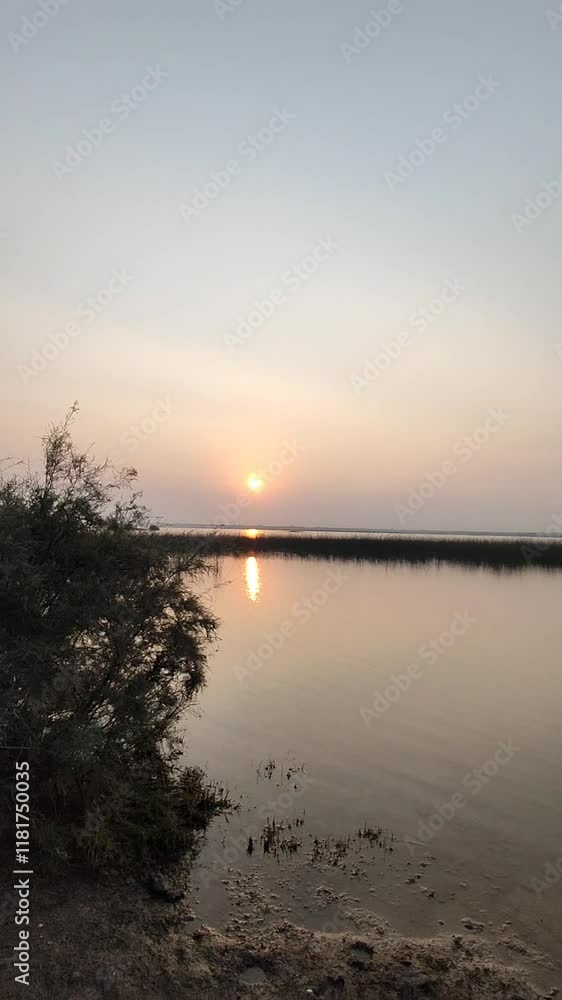 Khijadia Bird Sanctuary is a popular destination for bird watchers and nature enthusiasts located near Jamnagar, Khijadia Bird Sanctuary is a popular destination for bird watchers and nature enthusiasts located near Jamnagar,