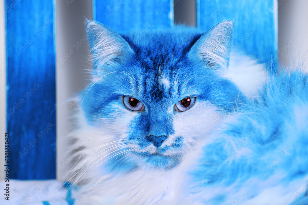 Blue-colored face portrait of a cute cat