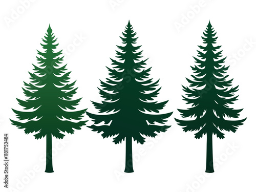  larch tree silhouette on white background