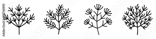 dill icon, vegetables line art, vegetables vector - simple black line art icon of dill perfect for logos, and vegetables-themed designs.