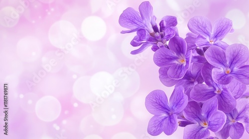 Wallpaper Mural Delicate Purple Flowers Bokeh Background Spring Blossoms Torontodigital.ca