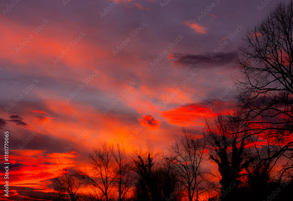 Obraz premium Golden Sky 11