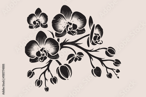 A  black and white silhouette of an orchid branch