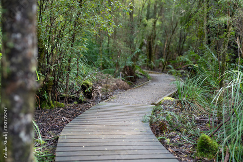 boardwalk in a national park in australia photo