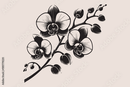 A  black and white silhouette of an orchid branch