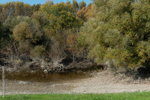 Flood water marked vegetation in the Gornje Podunavlje nature park beside the River Danube, an important conservation and Ramsar wetland in Serbia, Europe. photo