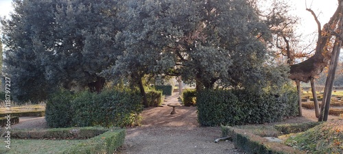 padiglione naturale in mezzo al giardino  photo