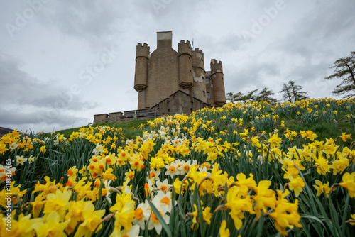 Braemar Castle surrounded by blooming daffodils in Scotland under a cloudy sky photo